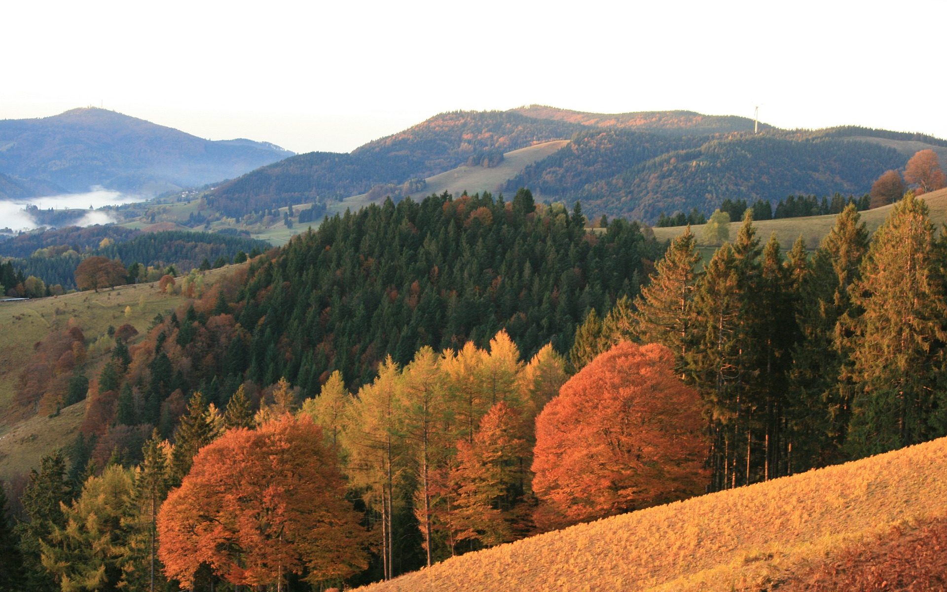Herbst im Schwarzwald | Rooms24 Erfahrungen
