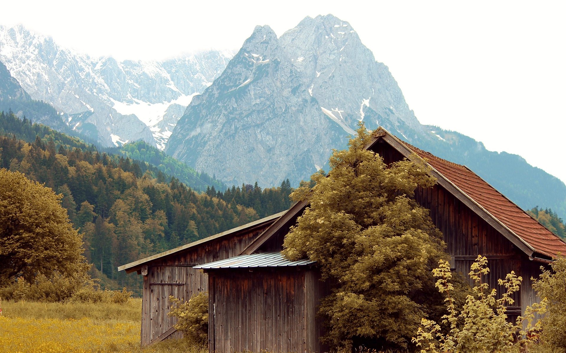 Die Zugspitze im Herbst | Rooms24 Erfahrungen