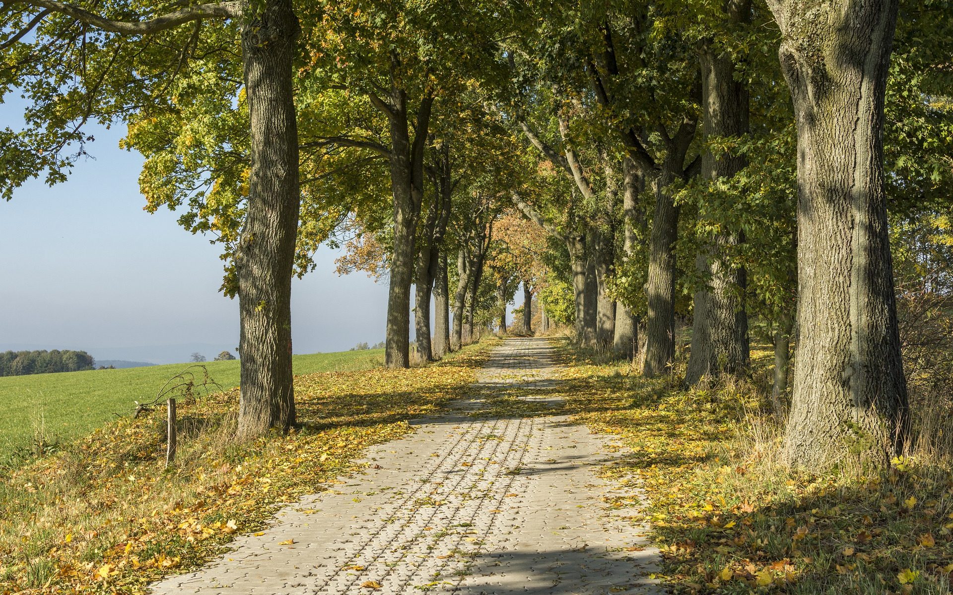 Herbst im Erzgebirge | Rooms24 Erfahrungen