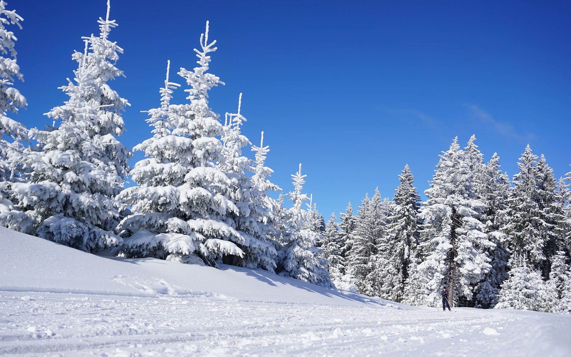 Frozen Wanderlust: Die besten Aktivitäten in Deutschland im Winter! | Rooms24